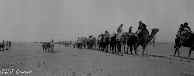 Camel train, refugees from Persia on their way to the Baqubah Camp, 1918